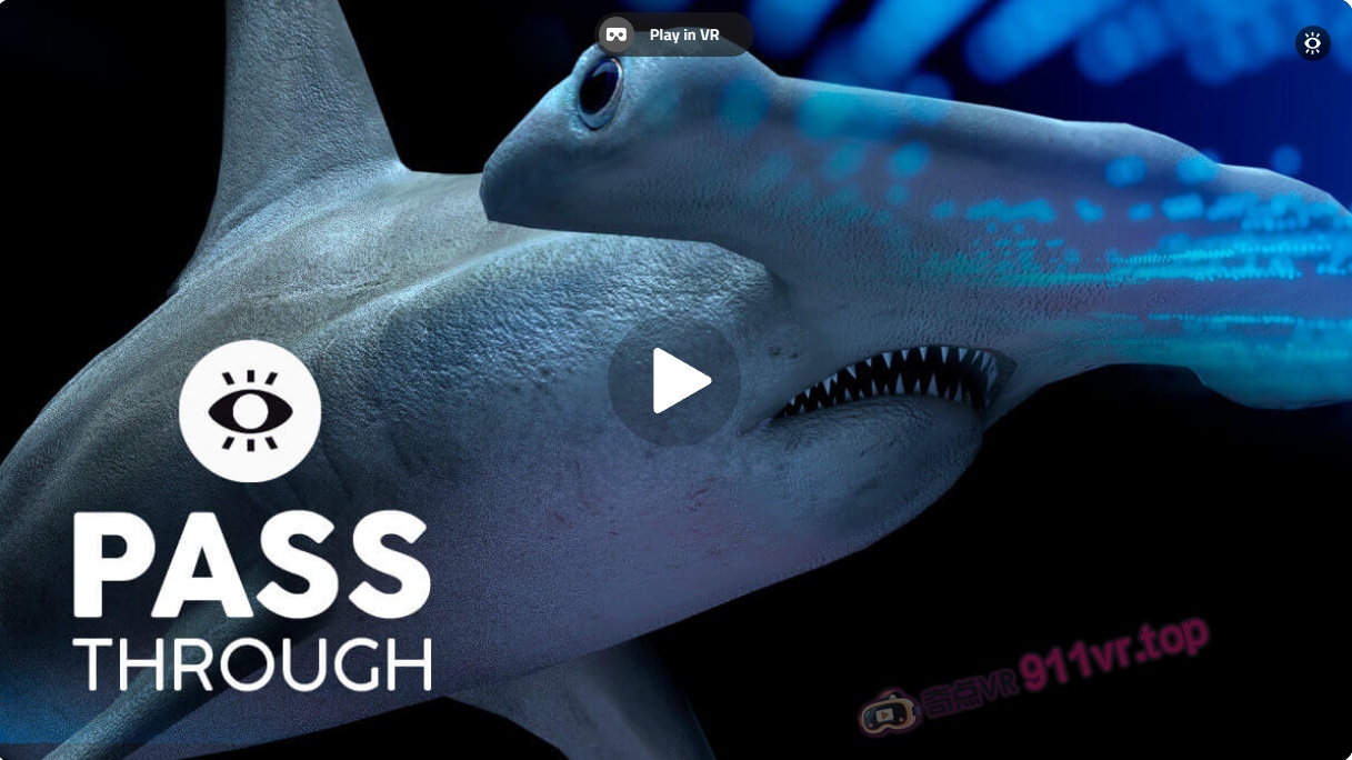 鲨鱼穿越-奇点VR