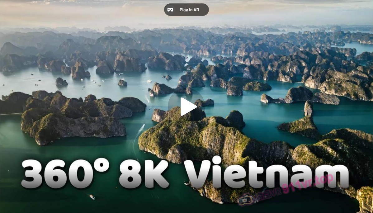 8KVietnam越南-奇点VR